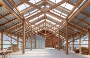 FF WCF 0013 e1614677711814