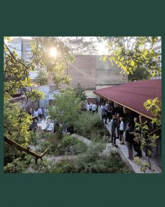 Friends of FF scaled