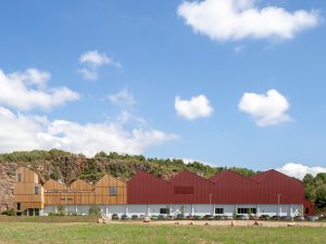 Peter Cook Thumbnail