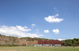 Petercook 01