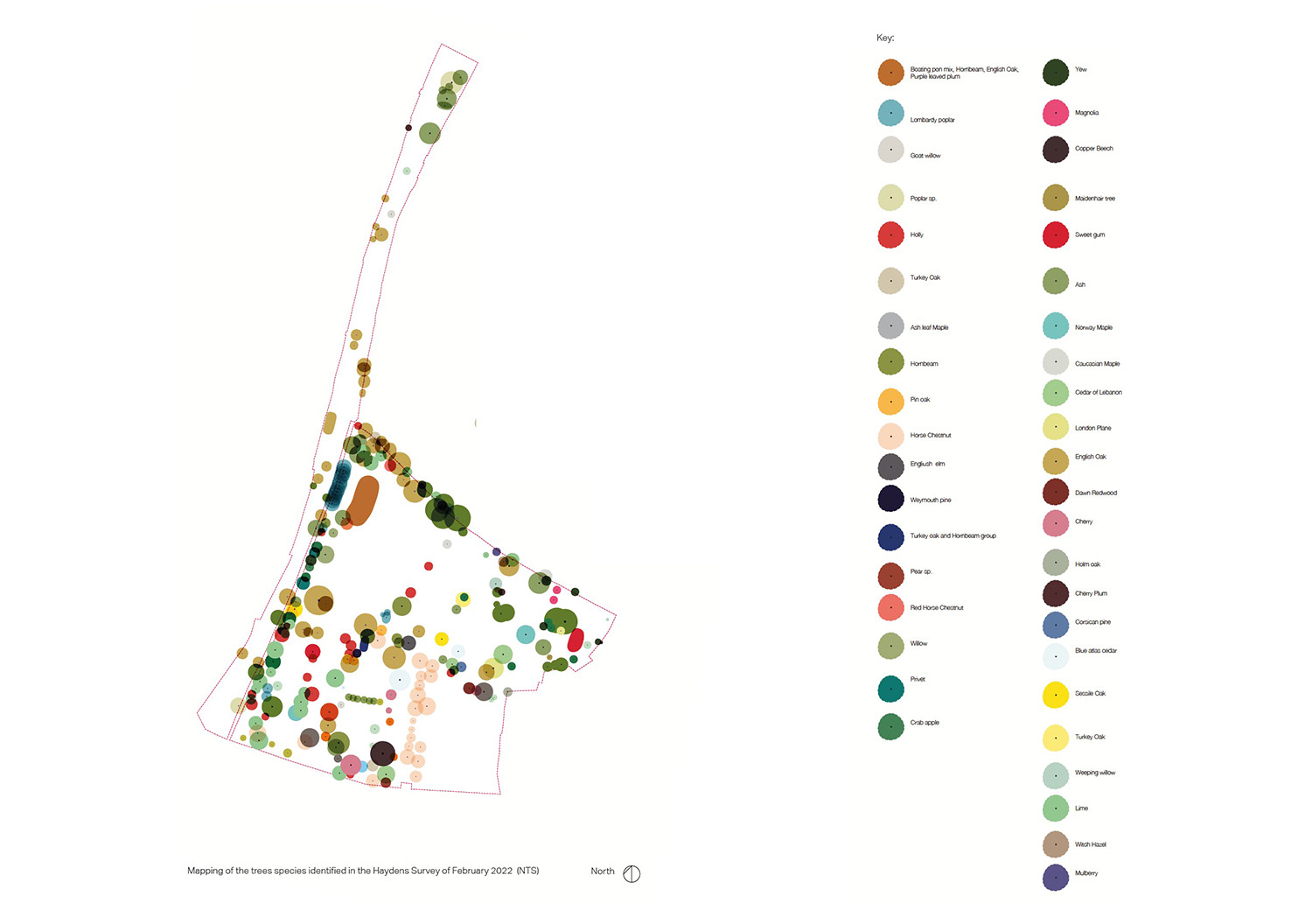 01_NLP_TREE ANALYSIS