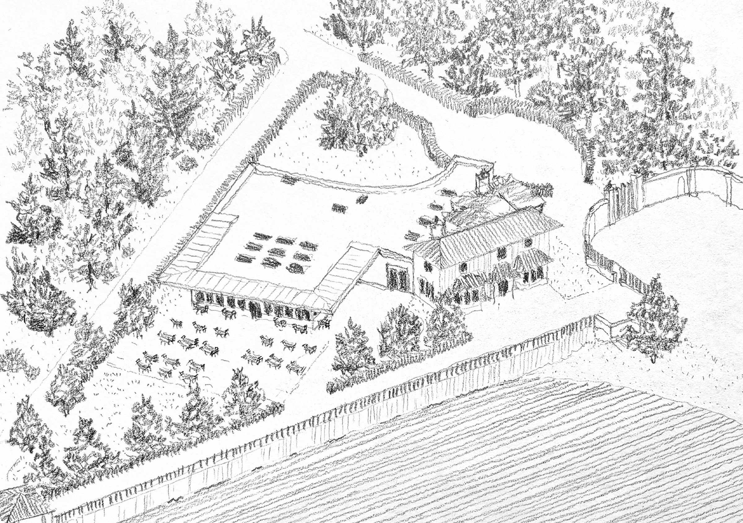 01_SRP_Aerial Sketch_L