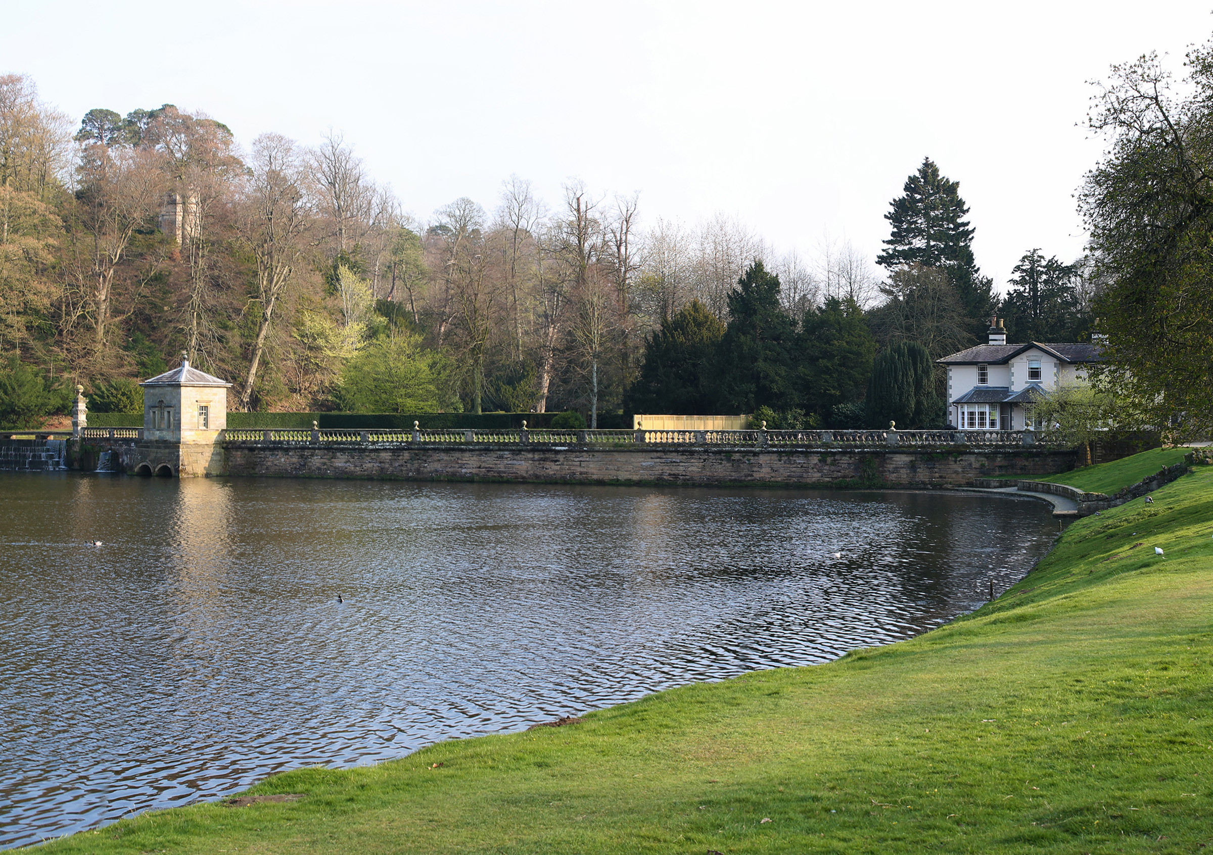 01_SRP_PANORAMIC VIEW_L