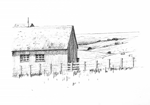 01_BRF_LANDSCAPE SKETCH
