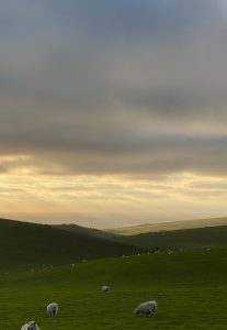 01_BRF_VIEW TO BIRLING GAP