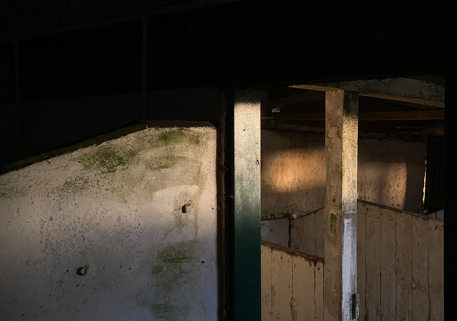 02_BRF_SITE ABSTRACT 2