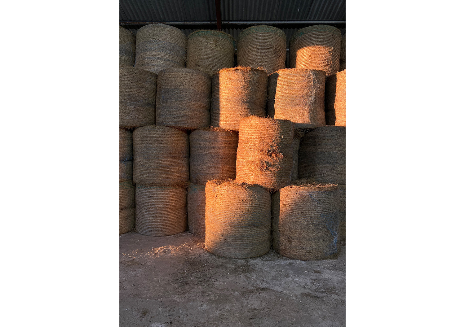 03_BRF_LANDSCAPE VIEW