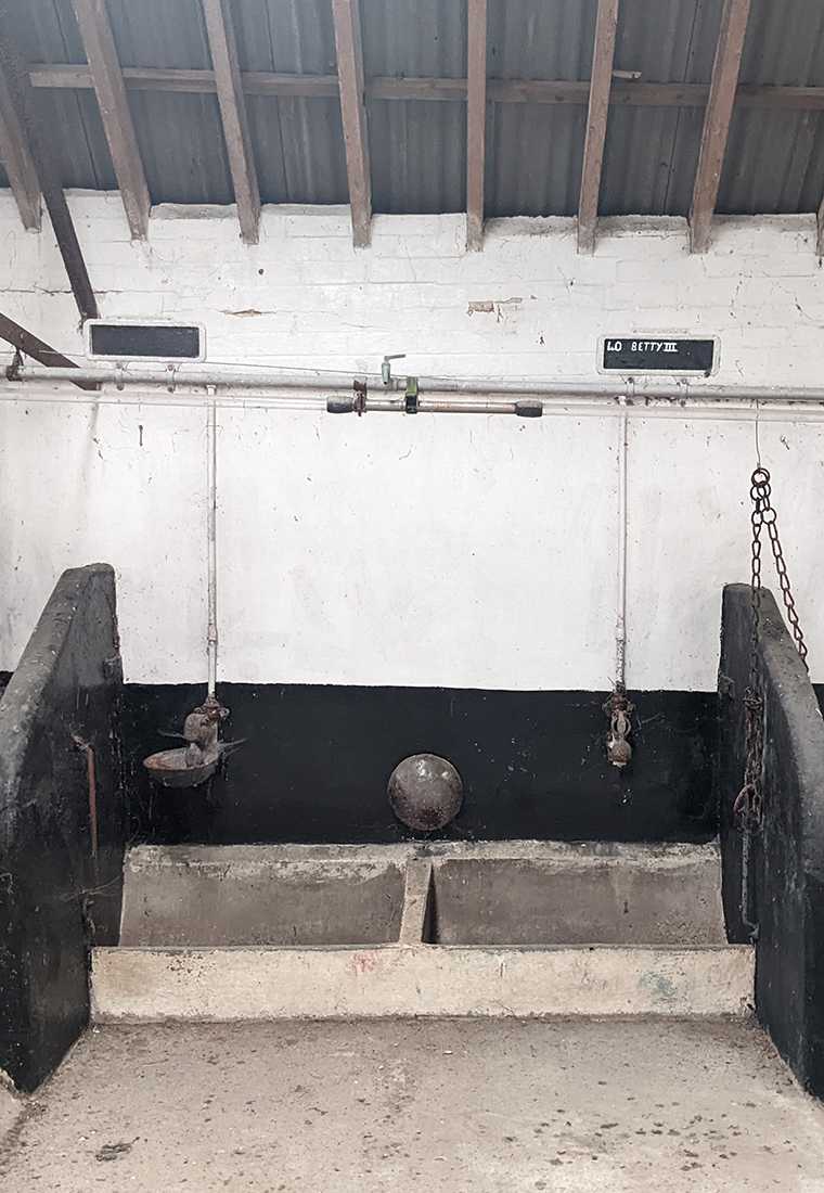 03_BRF_MIKING PARLOUR SITE 3