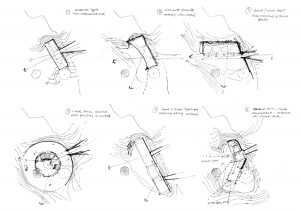 01_YSP_DIAGRAM