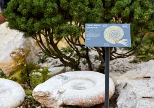 01_NHM_DETAIL