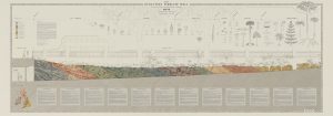 01_NHM_TIMELINE WALL ILLUSTRATION