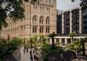 NHM Cover Image