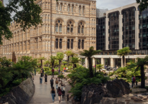 NHM_Cover Image_2