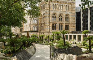 Thumbnail Kendal Noctor