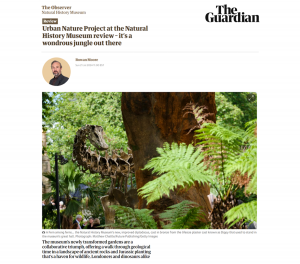 2407 NHM The Observer landscape