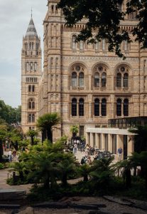 09_NHM_HL