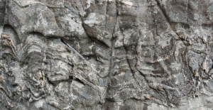 18_NHM_HL