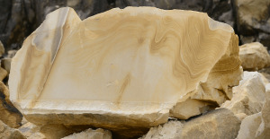 20_NHM_HL
