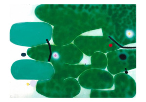 00_TBG_VICTOR PASMORE