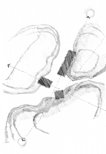 03_HFG_MASSING SKETCH