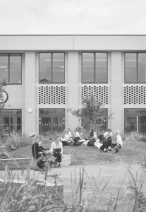 NTB_B&W_Cover Image
